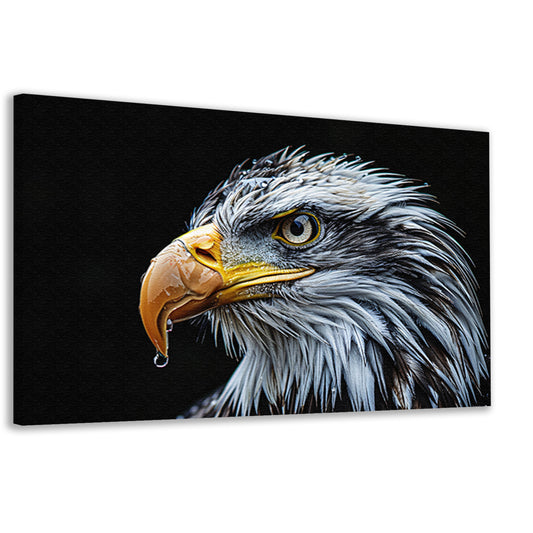 Krachtige Kale Adelaar canvas