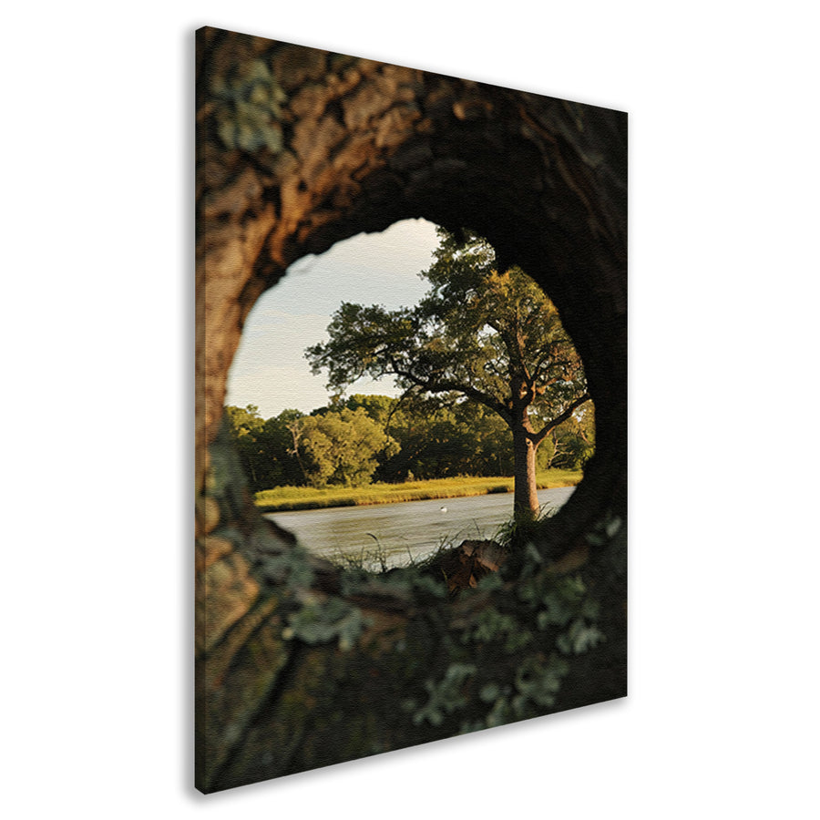 Boom weerspiegeld in rivier door boomholte canvas