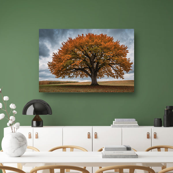 Majestueuze herfstboom in open veld canvas met baklijst