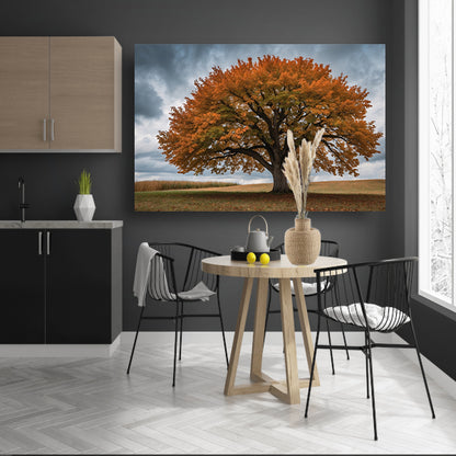 Majestueuze herfstboom in open veld canvas met baklijst