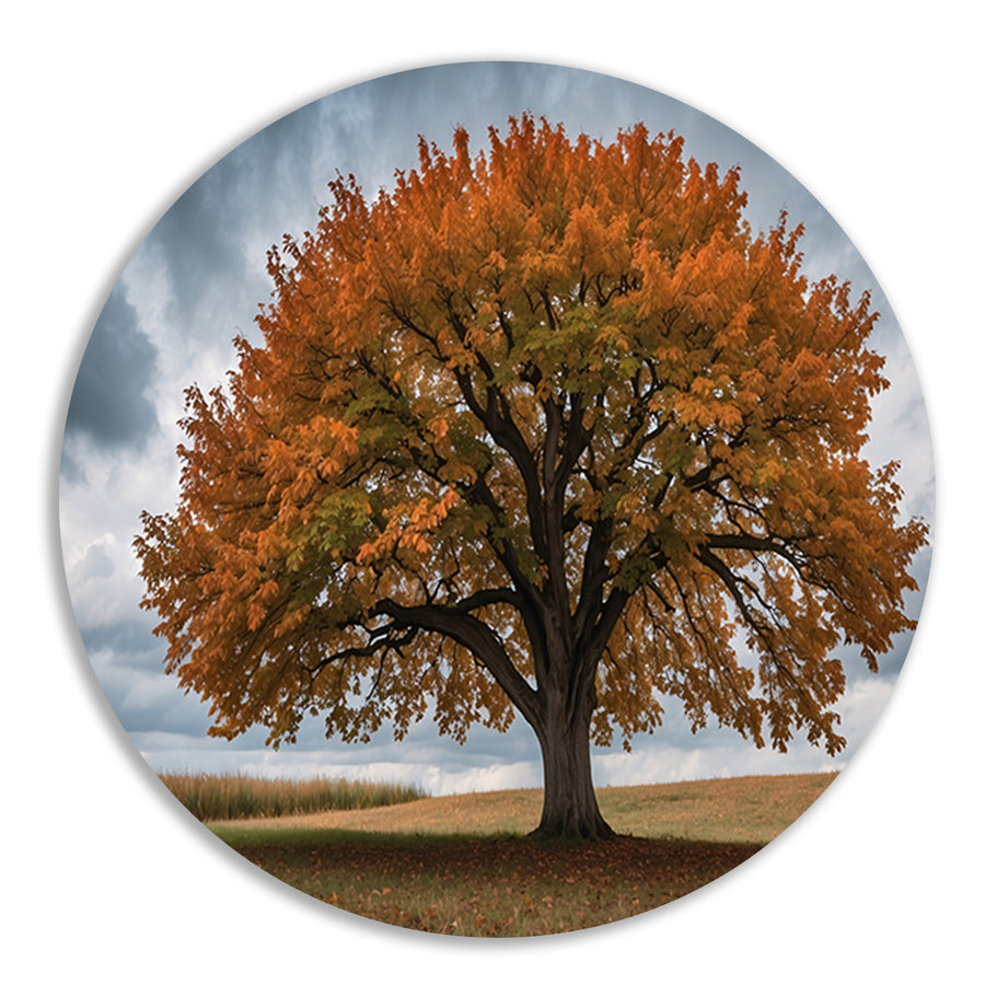 Majestueuze herfstboom in open veld aluminium muurcirkel