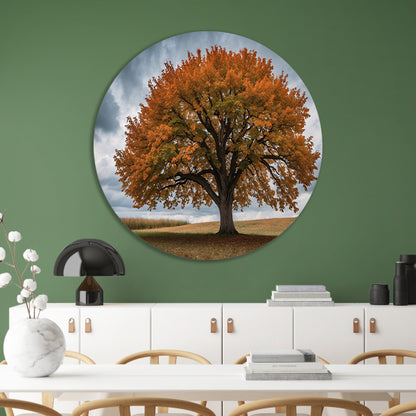 Majestueuze herfstboom in open veld forex muurcirkel