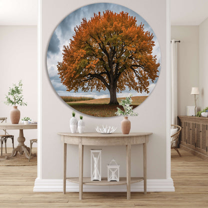 Majestueuze herfstboom in open veld forex muurcirkel