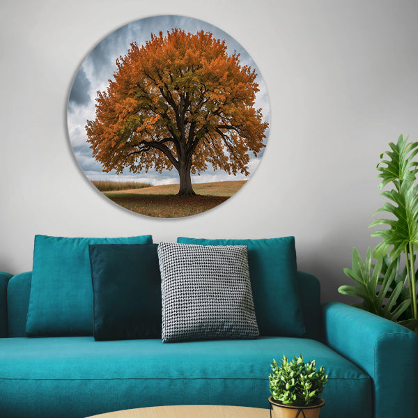 Majestueuze herfstboom in open veld forex muurcirkel