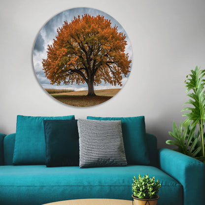 Majestueuze herfstboom in open veld forex muurcirkel