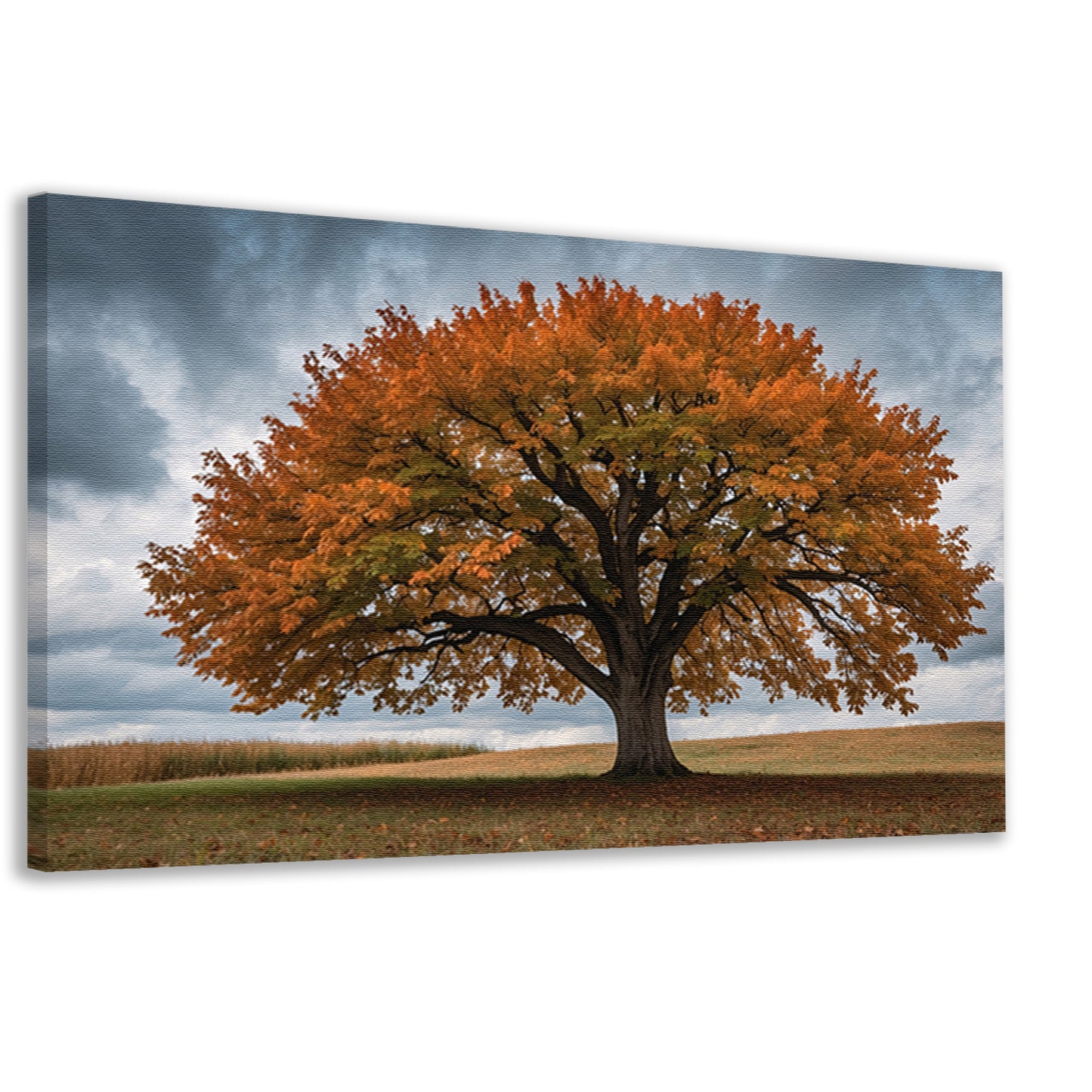 Majestueuze herfstboom in open veld canvas