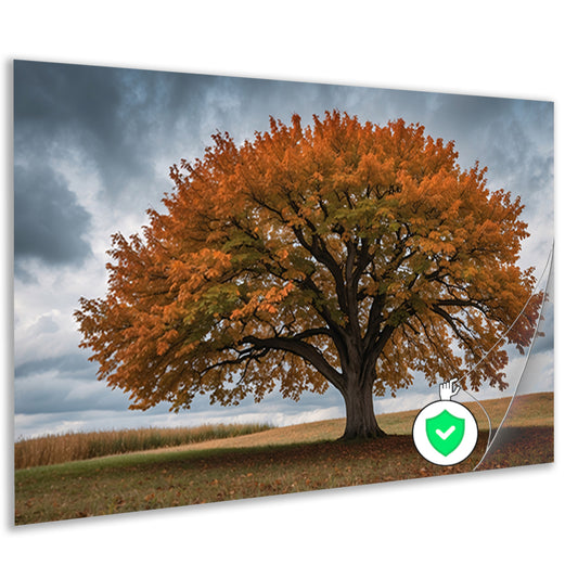 Majestueuze herfstboom in open veld poster