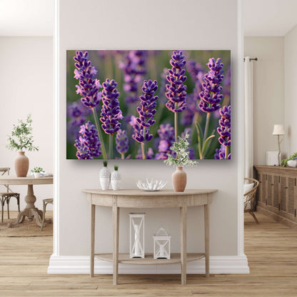 Zonovergoten lavendelveld in bloei poster