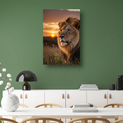 Majestueuze leeuw bij adembenemende zonsondergang canvas met baklijst