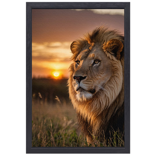 Majestueuze leeuw bij adembenemende zonsondergang canvas met baklijst