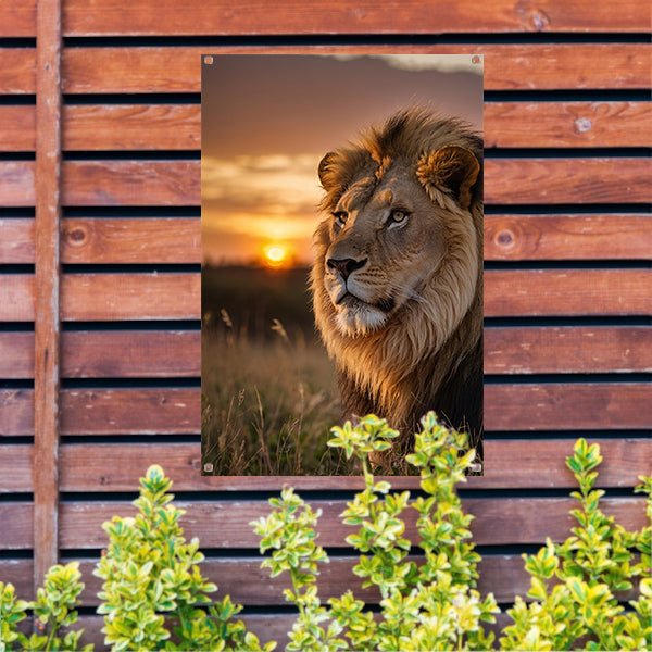Majestueuze leeuw bij adembenemende zonsondergang tuinposter