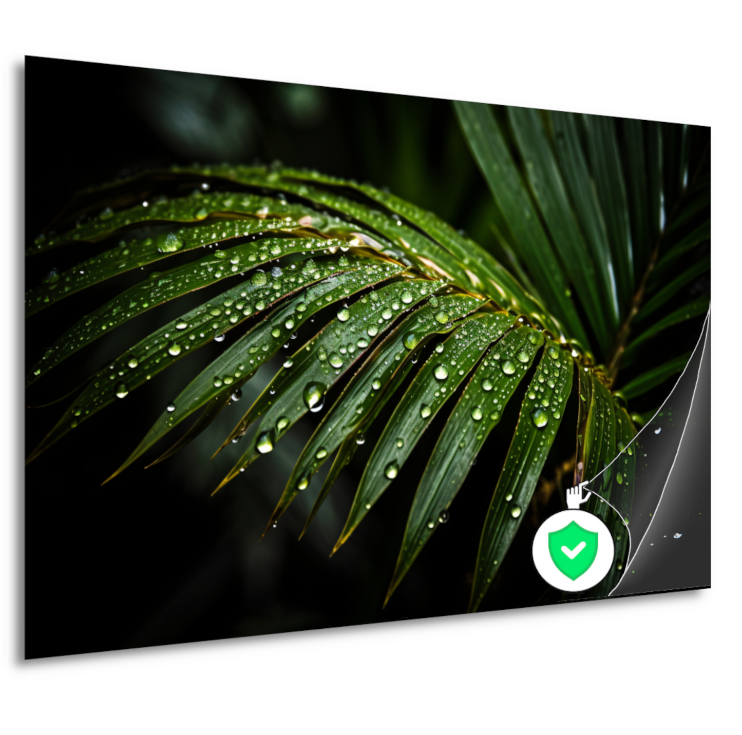 Blad met waterdruppels in close-up poster