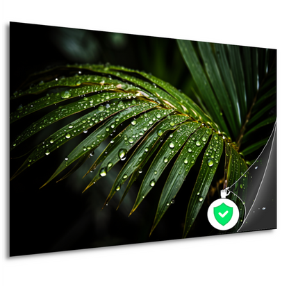 Blad met waterdruppels in close-up poster