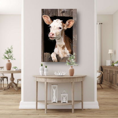 Nieuwsgierig kalf in verweerde schuur canvas