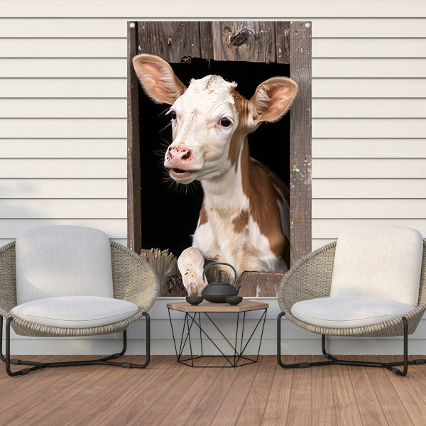 Nieuwsgierig kalf in verweerde schuur tuinposter