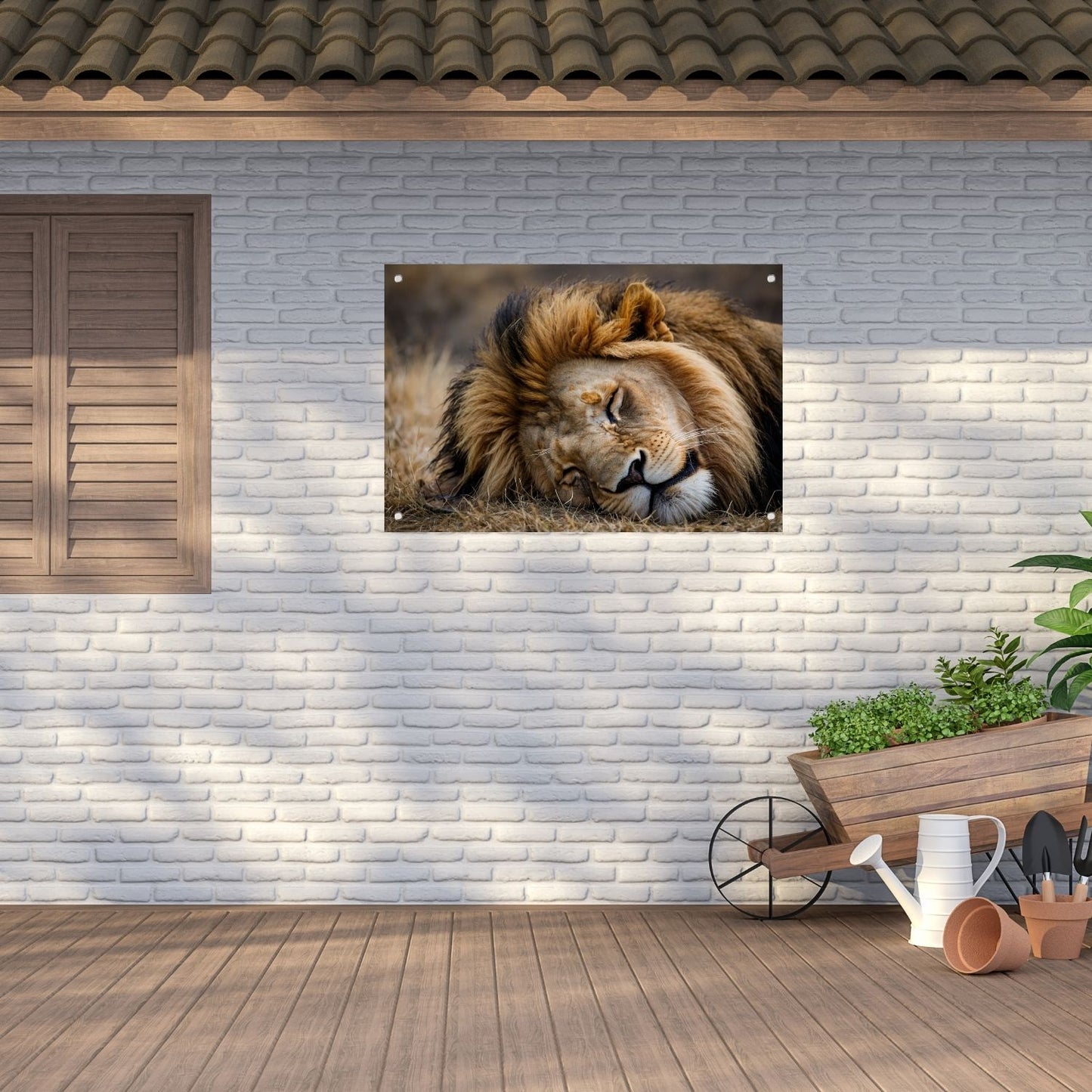 Slapende leeuw in zijn natuurlijke habitat tuinposter