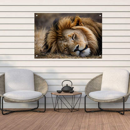 Slapende leeuw in zijn natuurlijke habitat tuinposter