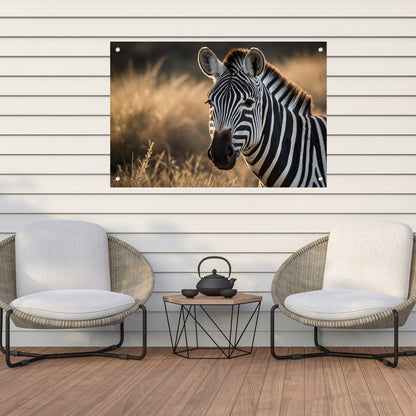 Zebra bij zonsondergang in het wild tuinposter