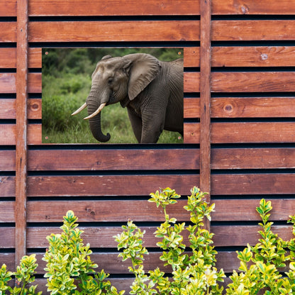 Prachtige olifant in natuurlijke habitat tuinposter